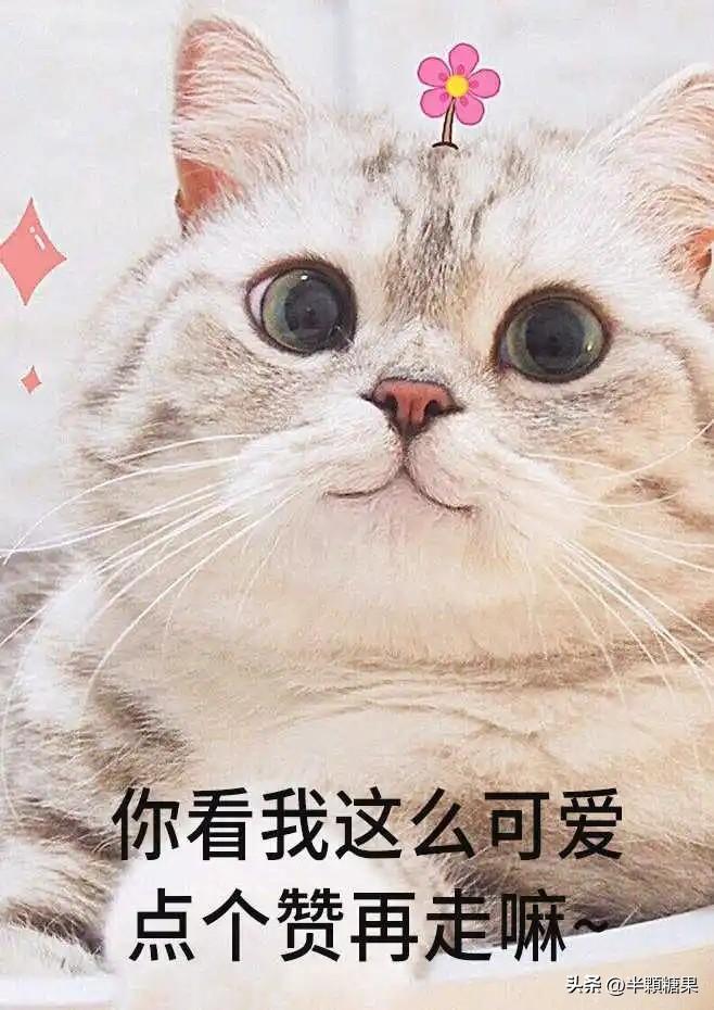 女生问男生喜欢她什么怎么回答如何让男生知道我喜欢他