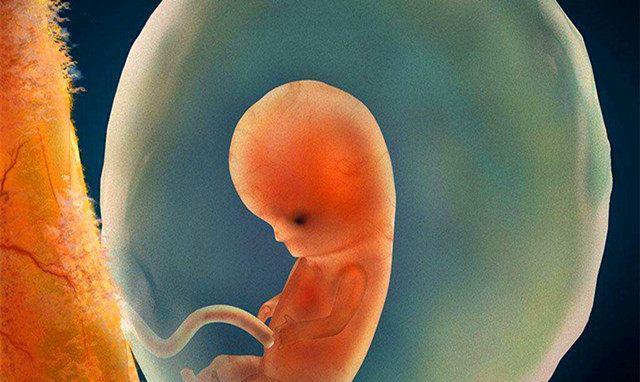 怀孕几天能测出来hcg参考值怀孕天数是多少天呢