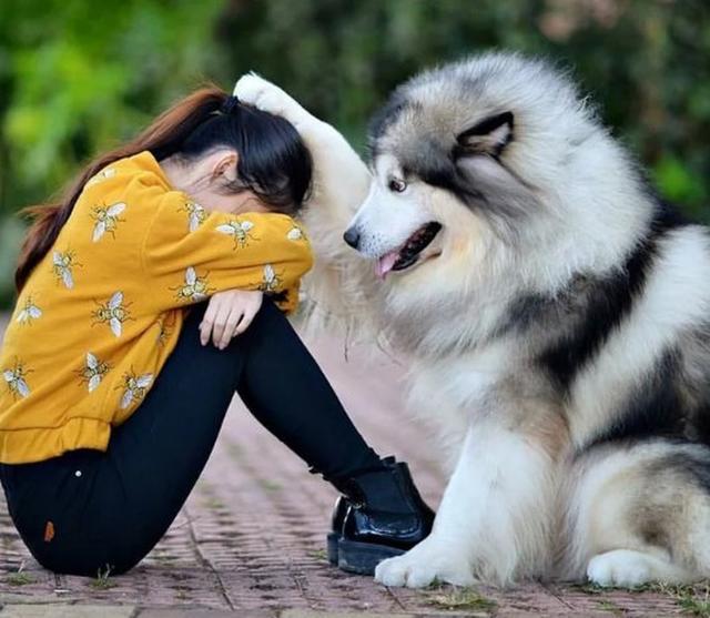 为啥男的都喜欢好看的,为什么很多人喜欢看游戏直播