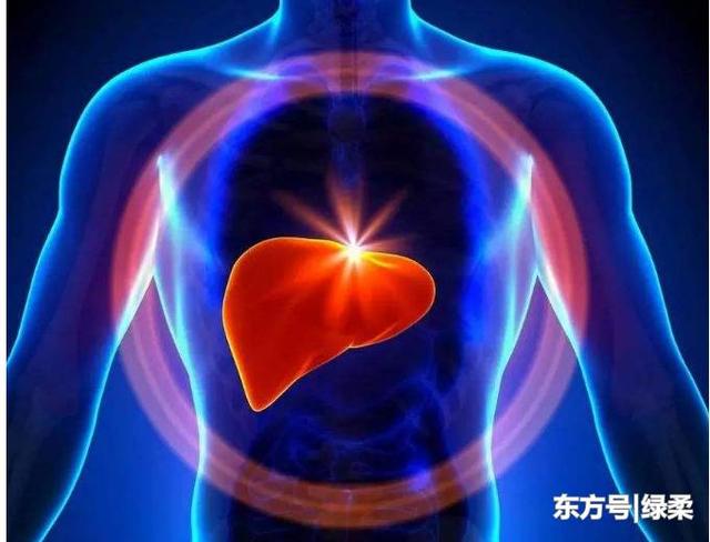 肝在身体哪个位置中医为何要说左肝右肺