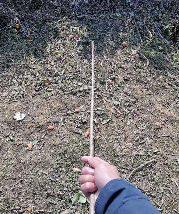 男生喜欢哪些东西,微胖的女人男人喜欢吗