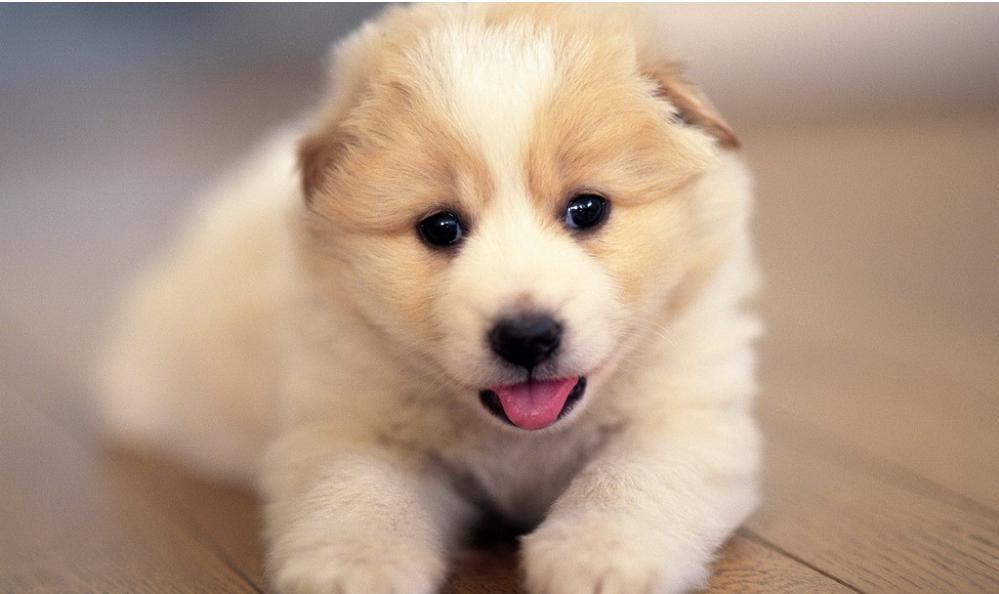 话多的女生喜欢什么样的男生,该用什么方法去追求她呢