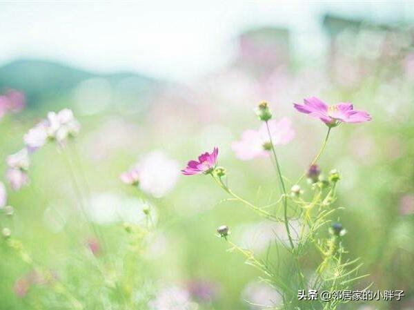 男人说两个都喜欢,人和人之间暧昧