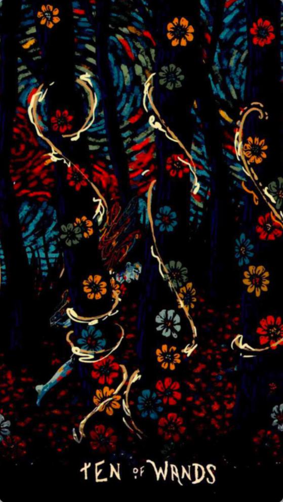 我和他还能复合吗塔罗牌有些精神病治到死都治不好