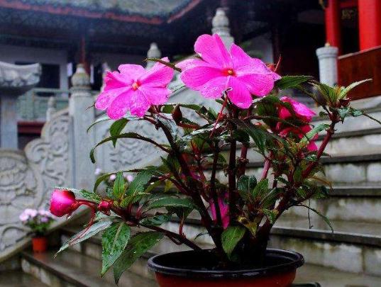 安逸花app官方版下载,马上消费是什么app