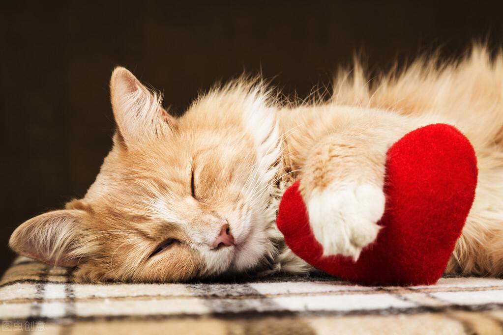 怎么挽回金牛座女朋友该如何挽回他的心