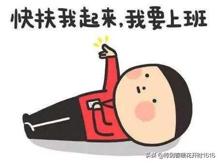 优秀员工心得报告,工作的感受来自哪里