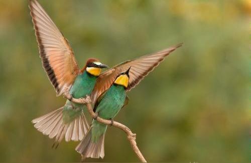 对自己暗恋的人表白话我发现自己喜欢上了班上的一个女生