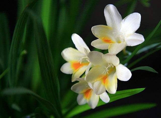 怎么变矮简单的方法,怎么拍照才能显得人高