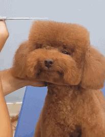 怎样重新喜欢一个人如何做到因材施教