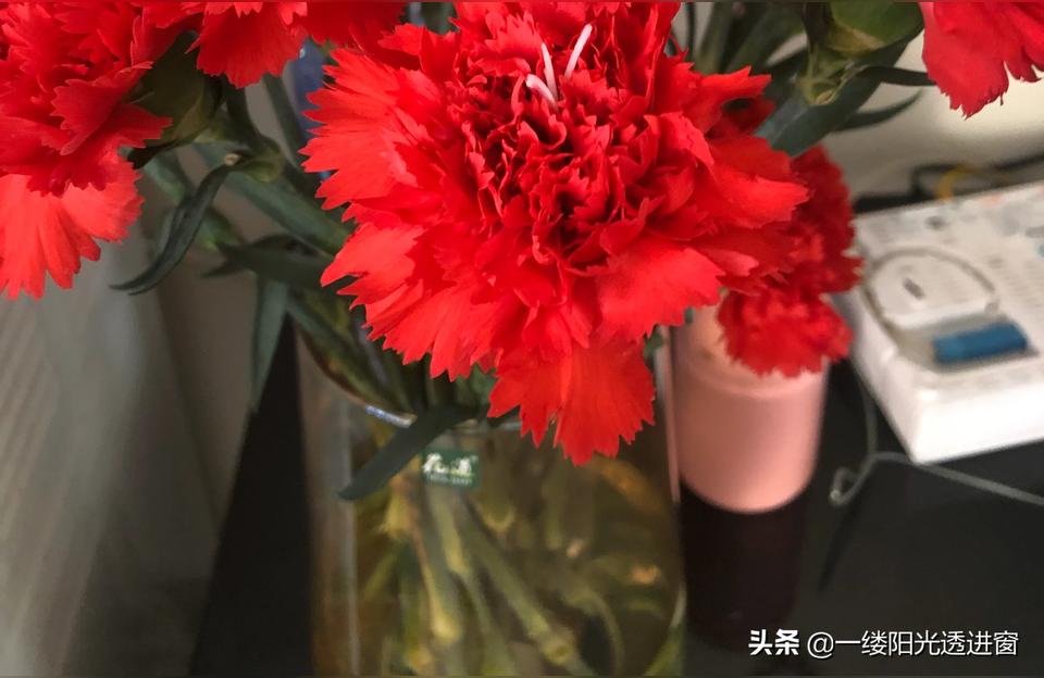 对喜欢的人怎么表白该如何追求喜欢自己的女生