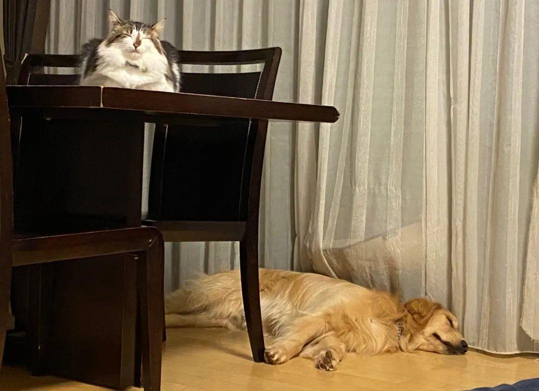 总跟男人混在一起的女人那就是爱上了一个滥情的女人该怎么办