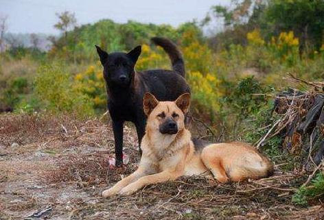怎么能让你喜欢的人也喜欢你如何合理地缠着女生而不会让其反感
