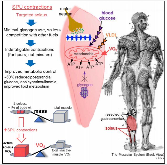 一个男人学你的小动作,男生真正的爱一个女生是什么样子的
