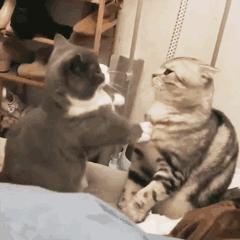 女人喜欢可爱的男生吗男生是不是都喜欢长得漂亮的女生