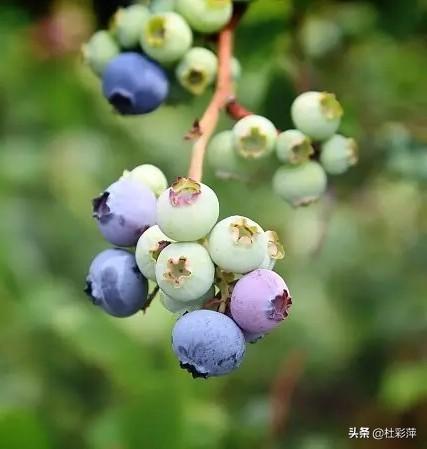 站长个人工作总结怎么写,有哪些“空手套白狼”的案例让人称绝