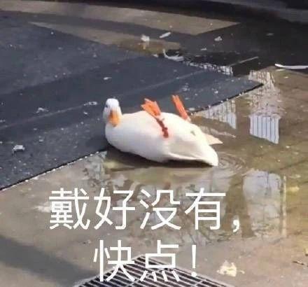 搞笑但又感动的情话关于云的搞笑情话