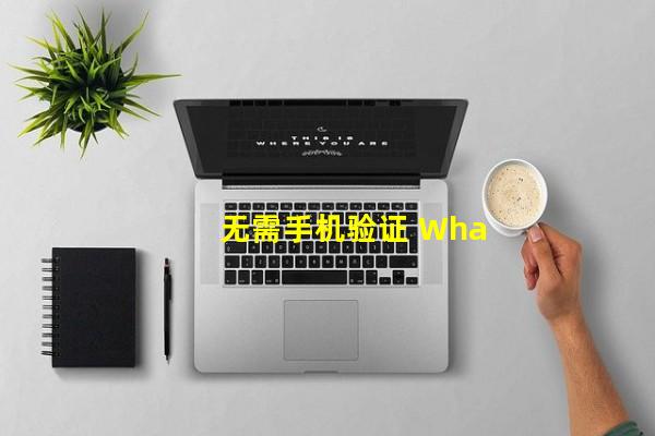 无需手机验证 WhatsApp 或者 Facebook - 无需SIM卡或手机验证 | mytrashmobile.com网站