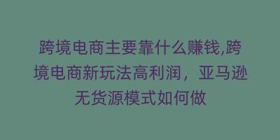 跨境电商主要靠什么赚钱,跨境电商新玩法高利润,亚马逊无货源模式如何做