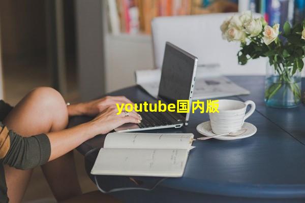 youtube国内下载教程,youtube下载中文版2020